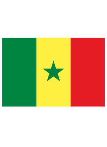 Senegalese Flag Kids T-Shirt