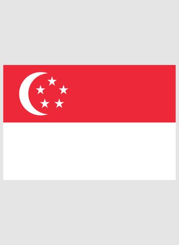 T-shirt drapeau singapourien