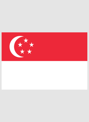 Singaporean Flag Kids T-Shirt