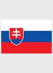 Slovak Flag T-Shirt