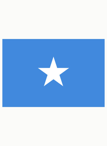 Somali Flag Kids T-Shirt