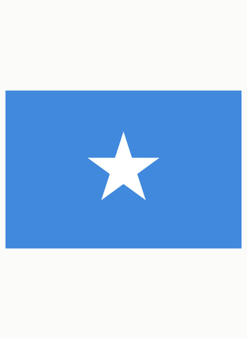 T-shirt drapeau somalien