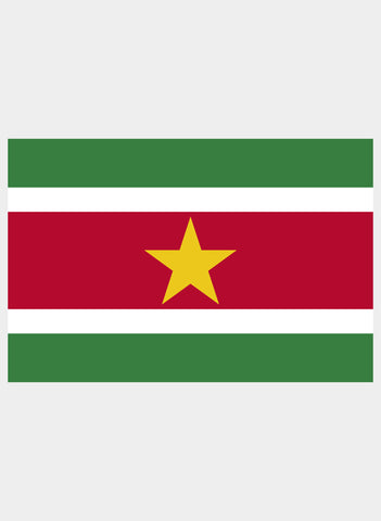 T-shirt drapeau surinamien