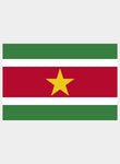 Surinamese Flag Kids T-Shirt