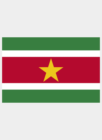 Surinamese Flag Kids T-Shirt