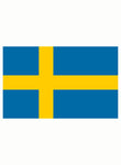 Swedish Flag Kids T-Shirt