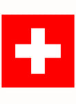 Swiss Flag Kids T-Shirt