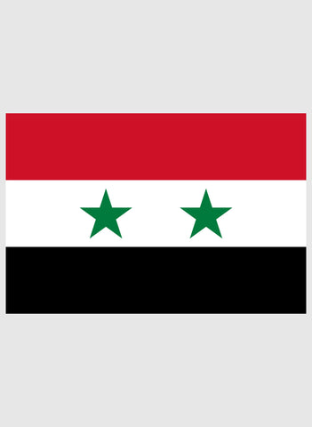 Syrian Flag Kids T-Shirt