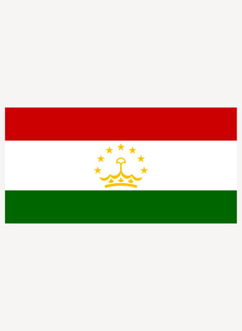 Tajikistani Flag Kids T-Shirt