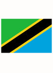 Tanzanian Flag Kids T-Shirt