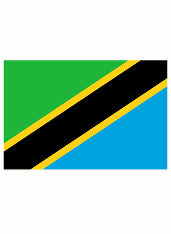 Tanzanian Flag Kids T-Shirt