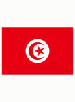 Tunisian Flag Kids T-Shirt