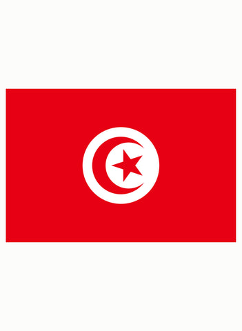 Tunisian Flag Kids T-Shirt