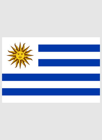 Uruguayan Flag Kids T-Shirt