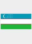 Camiseta de la bandera uzbeka