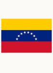 Venezuelan Flag Kids T-Shirt