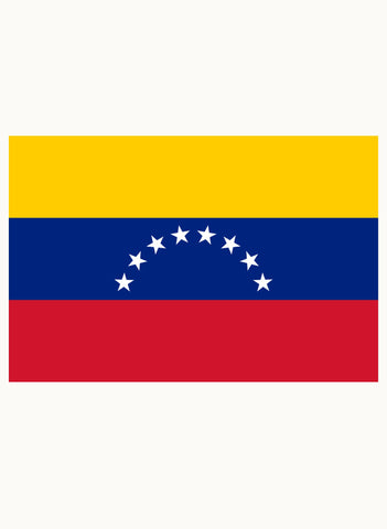 Venezuelan Flag Kids T-Shirt