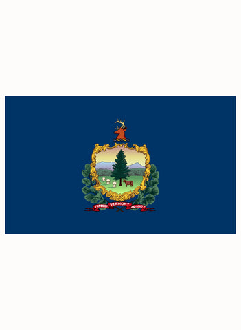 Vermont State Flag Kids T-Shirt