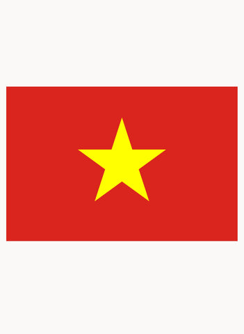 Vietnamese Flag Kids T-Shirt