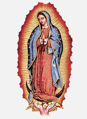 Virgin de Guadalupe Kids T-Shirt