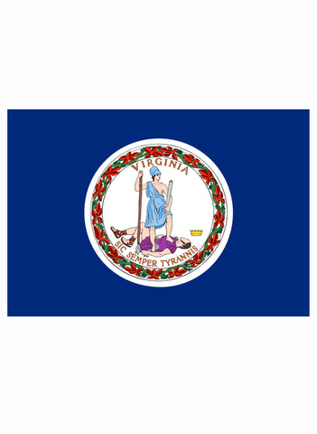 Camiseta de la bandera del estado de Virginia