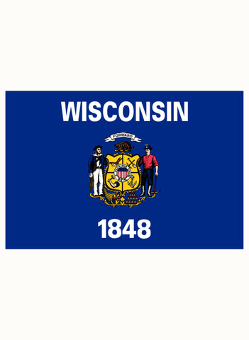 Wisconsin State Flag Kids T-Shirt