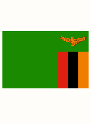 Camiseta de la bandera de Zambia