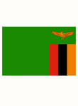 Zambian Flag Kids T-Shirt