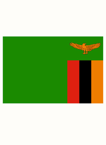 Zambian Flag Kids T-Shirt