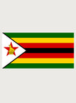 Bandera de Zimbabwe Camiseta para niños